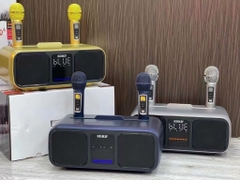 Loa bluetooth karaoke SDRD SD-318 kèm 2 micro không dây chính hãng [BH 6 tháng]