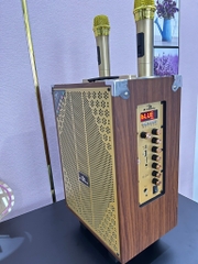 Loa kéo KIOMIC K-33 bluetooth Karaoke K33 kèm 2 micro không dây mẫu mới 2024 chui sạc Type C [BH 6 Tháng]
