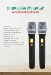 Loa kéo Best Sound M8 Pro bluetooth karaoke xách tay kèm 2 micro không dây [BH 1 năm]