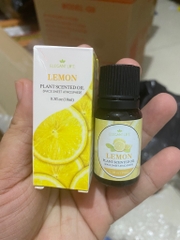 Tinh dầu tự nhiên thơm phòng chai 10ml nhiều mùi [BH: None] / pktn sale