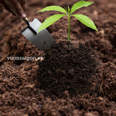 Bay làm vườn, làm hồ xây dựng lưỡi thép CD 10cm ngang, cán gỗ / pktn sale