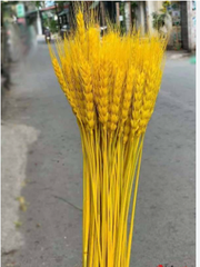Bó bông lúa trang trí, trưng bày đa năng {không kèm bình đựng} [BH: NONE]