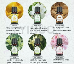 Tinh dầu tự nhiên thơm phòng chai 10ml nhiều mùi [BH: None] / pktn sale