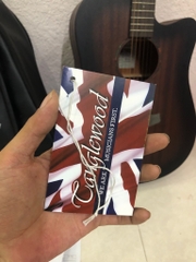 [Hàng cũ] Đàn Guitar Tanglewood TWCR DC chính hãng (Serial BN210654560) [Mới 99.99% cần thanh lý, trước mua tại Việt Thương Music, còn hoá đơn cũ, kèm bao da vs bộ Dây Đàn D'Addario Chính Hãng] / pktn sale