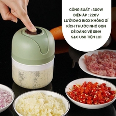 Máy xay tỏi ớt 250ml loại rẻ GARLIC BEATER (box trắng) [BH 1 tuần]