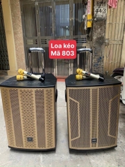 Loa kéo hát karaoke 803 / 808 kèm 2 micro không dây hát karaoke [BH 6 tháng]