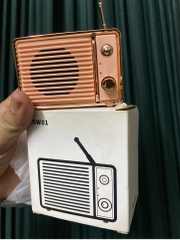 Loa bluetooth mini Dw01 (chưa set giá)