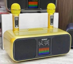 Loa bluetooth karaoke SDRD SD-318 kèm 2 micro không dây chính hãng [BH 6 tháng]
