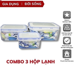 Combo 3 hộp nhựa VN-6530 cao cấp xịn đựng thực phẩm kín nắp để tủ lạnh 3 kích cỡ [BH: NONE]