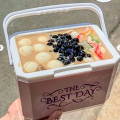 Thùng đựng trà sữa, thùng đá, đồ ăn nhà bếp mini 1L The Best Day hot trend [BH: NONE]