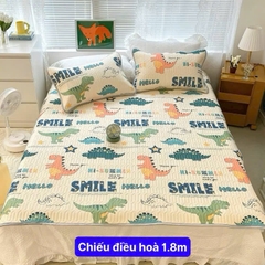 Bộ Chiếu điều hòa cao su non size 1.8m siêu sang, siêu êm- Họa tiết màu sắc ngẫu nhiên theo lô [BH: NONE]