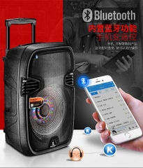 Loa bluetooth karaoke AVCrown DP09 3.5 tấc kèm 1 micro không dây [BH: 1 tuần, thùng cũ, loa mới, bán rẻ] hjk#T2