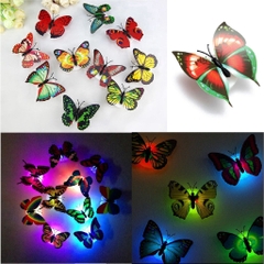 Đèn Led dán tường phát sáng hình Bướm / pktn sale