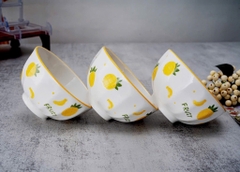 Set 5 chén sứ viền FRUIT- mẫu tùy lô ngẫu nhiên [BH: NONE] 1l1b12