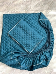 Bộ ga trải giường [1 GA+ 2 VỎ GỐI NẰM] PHI LỤA , chun cài góc size 1.6m x 2m- màu về ngẫu nhiên tùy lô [BH: NONE]