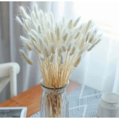 1 bó hoa đuôi thỏ trang trí bàn làm việc, văn phòng, decor [BH: NONE] 1l9d11