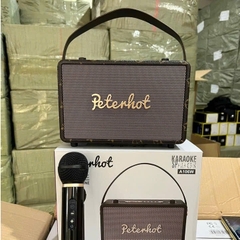 Loa bluetooth karaoke PETERHOT A106W kiểu xách tay kèm 1 micro không dây siêu hay [BH 3 Tháng]