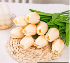 Hoa Tuylip - VÀNG.