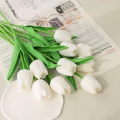 Hoa Tuylip - TRẮNG.