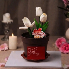 Lốc 20 cốc hình chậu hoa nhựa kt 7.5cmx8cm.