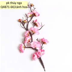 CAM-Cành đào hồng
