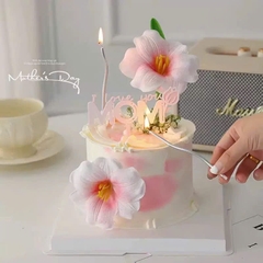 Hoa tuylip nở-HỒNG NHẠT.