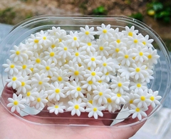 Hộp 150 gam bông hoa cúc kẹo đường size TO 2.6cm (khoảng 200 bông).