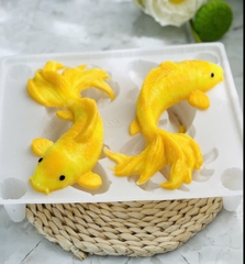 Khuôn nhựa -2 cá chép size to (Dài 23.7cm  Rộng 12.5cm sâu 5.4cm)