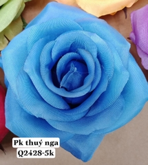 Hoa hồng-xanh dương đậm.