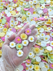 Hộp 100 gam (khoảng 70 bông) HOA CÚC HỌA MI kẹo đường size 2.6cm -MIX MÀU.