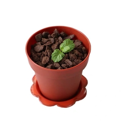 Lốc 20 cốc hình chậu hoa nhựa kt 7.5cmx8cm.