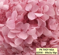Hoa khô cẩm tú cầu-hồng (10gam).