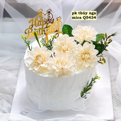 Set 10 mica HPBD gắn túi tiền.