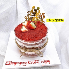 Set 10 mica HPBD gắn túi tiền.