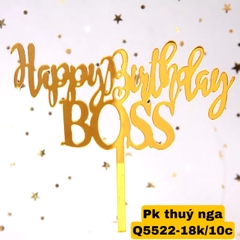 Set 10 mica HPBD BOSS.