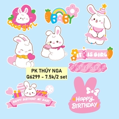Combo 2 set giấy-THỎ HỒNG kute girl.