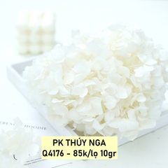 Hoa khô cẩm tú cầu-trắng (10gam).