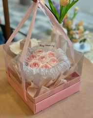 Set 10 hộp mica có kèm đế và dây xách (kt 20x20x17cm)-HỒNG.
