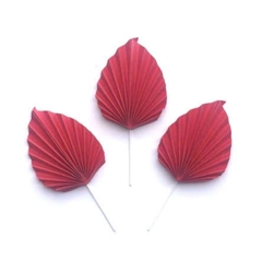 Set 3 quạt nhọn giấy ĐỎ-HD.