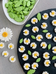 Hộp 100 gam (khoảng 70 bông) HOA CÚC HỌA MI kẹo đường size 2.6cm -TRẮNG.