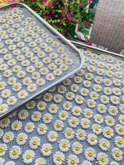 Hộp 100 gam (khoảng 70 bông) HOA CÚC HỌA MI kẹo đường size 2.6cm -TRẮNG.