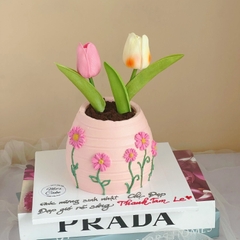 Hoa Tuylip - HỒNG ĐẬM.