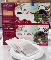 TPBS TRÀ ĐINH LĂNG