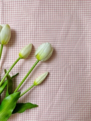 Vải Thô cotton caro - DIY, trang trí, decor, quần áo, đầm (dài 1m, khổ 1.45m, vải cắt liền)