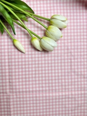 Vải Thô cotton caro - DIY, trang trí, decor, quần áo, đầm (dài 1m, khổ 1.45m, vải cắt liền)