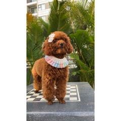 ( Thanh lý đồng giá nhiều mẫu 35k) Đầm cho thú cưng chó, mèo handmade ( tặng nơ kẹp tóc)