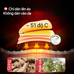 Miếng dán siêu lớn làm ấm giảm đau VAI Tinh Dầu Ngải Cứu WECAN