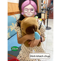 Gấu Bông Capybara 30-35cm Chảy Nước Mũi Kéo Rung đáng yêu