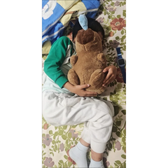 Gấu Bông Capybara 30-35cm Chảy Nước Mũi Kéo Rung đáng yêu