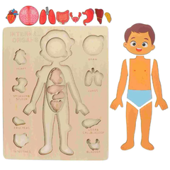 Montessori Đồ Chơi Gỗ Ghép Hình Trò Chơi Giải Phẫu Cơ Thể Con Người Human Body Structure Puzzle